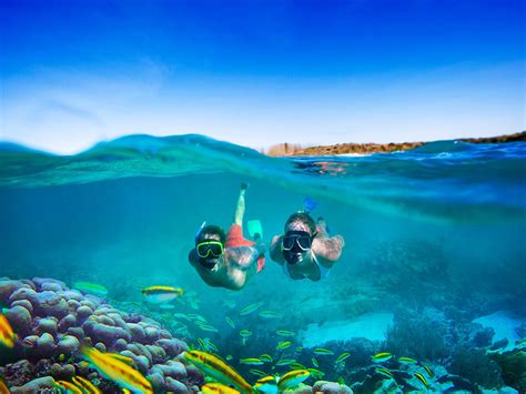 Snorkeling Trip to Paradise Island in Hurghada City - Vantage Travel International