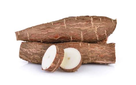 Yucca Vs Cassava - What's The Difference? - Foods Guy