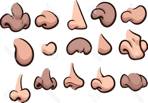 The best free Nose vector images. Download from 58 free vectors of Nose at GetDrawings