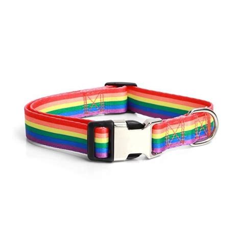 Pet Cat Name Dog Tag Personalized Dog Collar Engraved Beach Rainbow ...