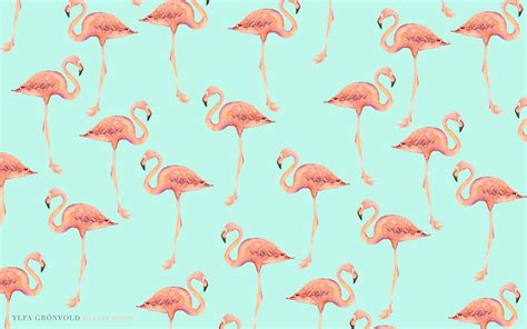 Flamingo Laptop Wallpapers - Top Free Flamingo Laptop Backgrounds ...