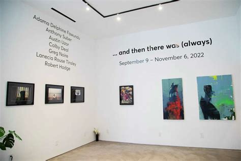 New Montrose gallery brings hyper Houston look to art scene