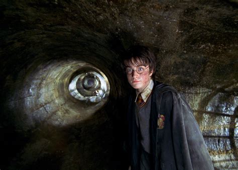 Harry Potter and the Chamber of Secrets (2002) Review – Distinct Chatter