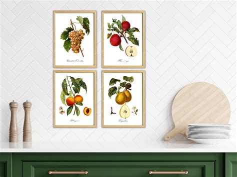 Fruit Prints Wall Art Fruit Botanical Prints Vintage - Etsy in 2022 ...