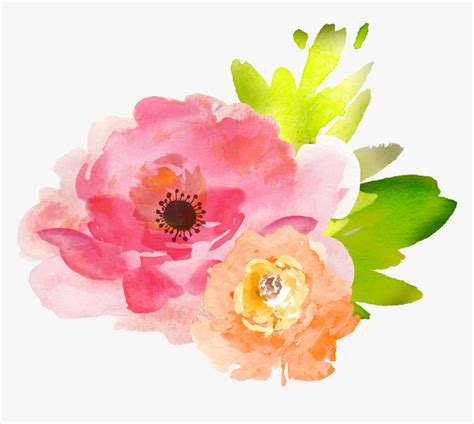 15 Pink Watercolor Flowers Png For Free Download On - Free Watercolor Flower Clipart Transparent ...