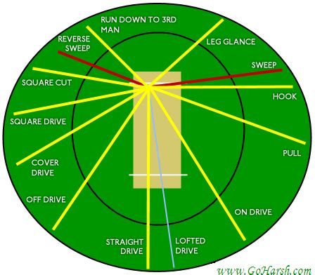 Types of Cricket Shots and Fielding Positions