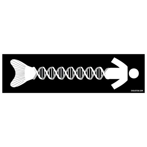 DNA Evolution Bumper Sticker - [11" x 3"]