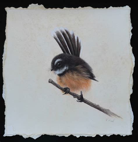 New Zealand Fantail Artwork