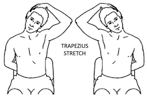 Trapezius Stretches