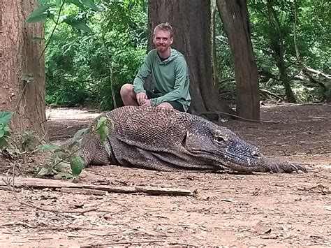 Komodo Island Dragons & Diving Guide | Charlie on Travel