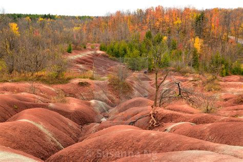 Cheltenham Badlands in fall colors in ... | Cheltenham badlands ...