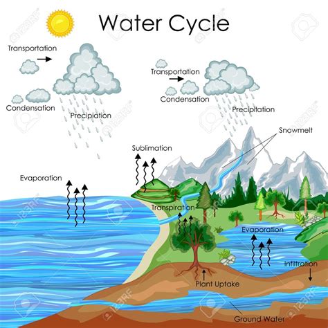 water cycle Diagram | Quizlet