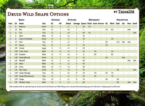 Druid Wild Shape Options by CR : r/dndnext