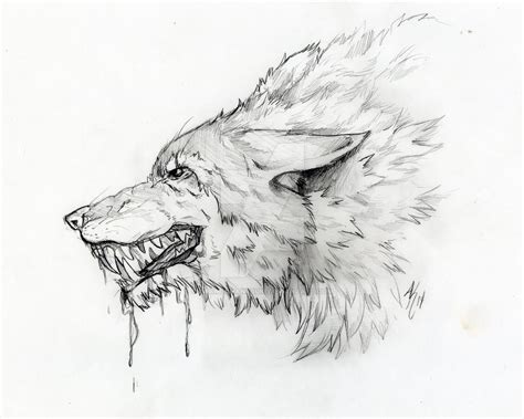 Angry Dire Wolf by Okami-chanTSUKI on DeviantArt