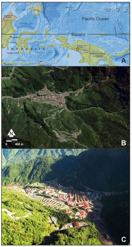 NHESS - DebrisFlow Predictor: an agent-based runout program for shallow landslides