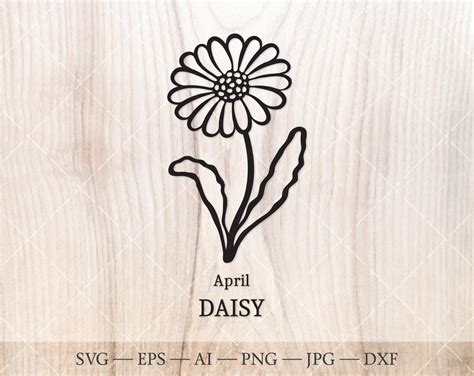 Daisy SVG, April Birth Flower SVG. Birth Month Flower Drawing. Birthday ...