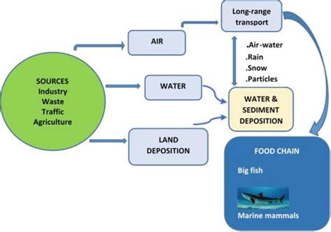 Type, Sources, Methods and Treatment of Organic Pollutants in Wastewater | IntechOpen