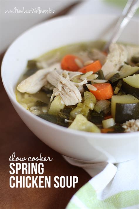 Slow cooker spring chicken soup | The Family Freezer