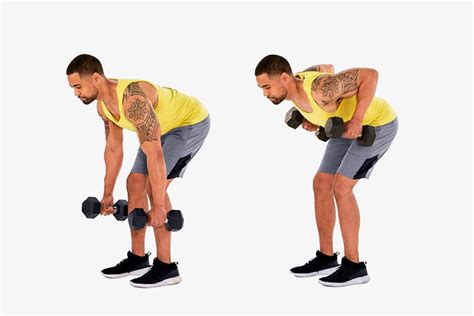 The Dumbbell Row | A Powerful Muscle Building Exercise Guide | DMoose