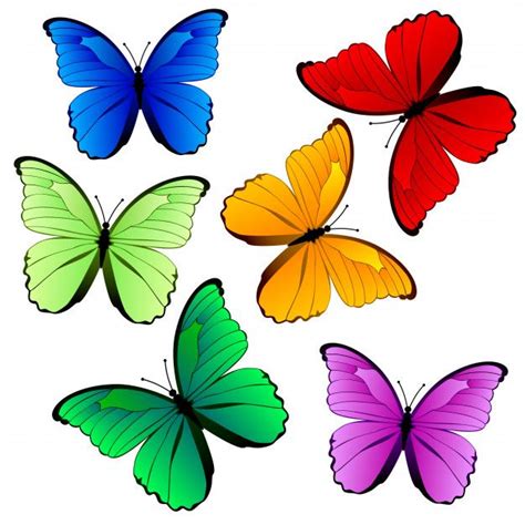 Collection of Colorful Butterflies Isolated on White