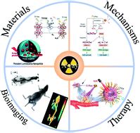 X-ray-activated nanosystems for theranostic applications - Chemical Society Reviews (RSC Publishing)