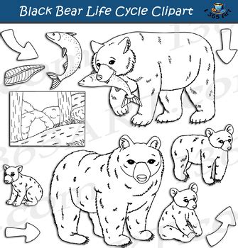 Black Bear Life Cycle Clipart by I 365 Art - Clipart 4 School | TpT