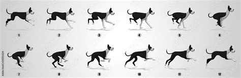 Great Dane Dog Run cycle animation sequence Stock Vector | Adobe Stock