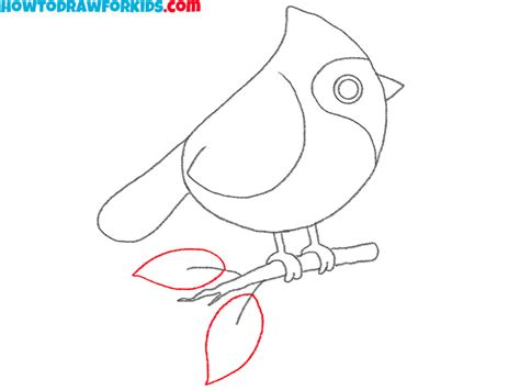 How to Draw a Cardinal Bird - Easy Drawing Tutorial For Kids