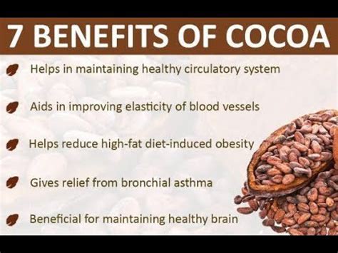 The benefits of cocoa beans. Video – Healthy Food Near Me