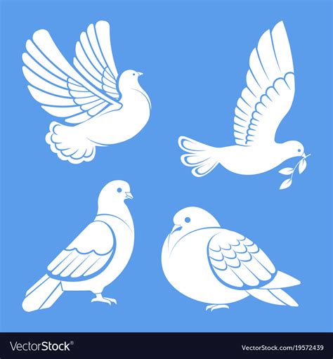 Pigeon or dove white bird flying with spread Vector Image