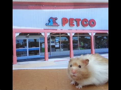 Hamster Goes To Petco - YouTube