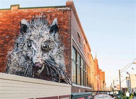 Artist turns urban trash into amazing animal murals | Animal mural, Urban street art, Street artists