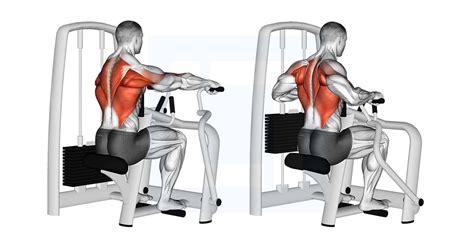 Lever Seated Row - Guide, Benefits, and Form