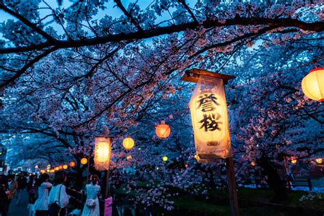 Where to Spend your Cherry Blossom Festival | Expats Holidays