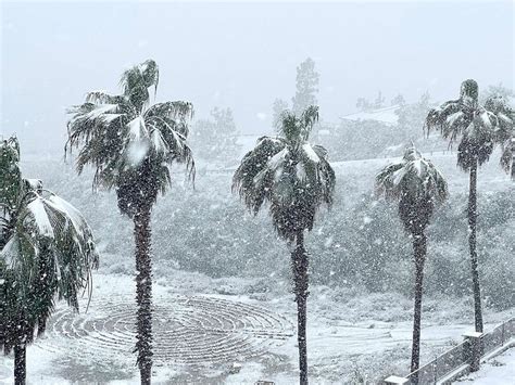 Los Angeles area still blanketed by snow in rare heavy storm | Americas ...