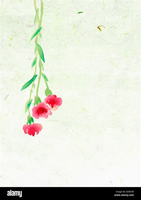 illustration drawing of rose plants hanging upside down Stock Photo - Alamy