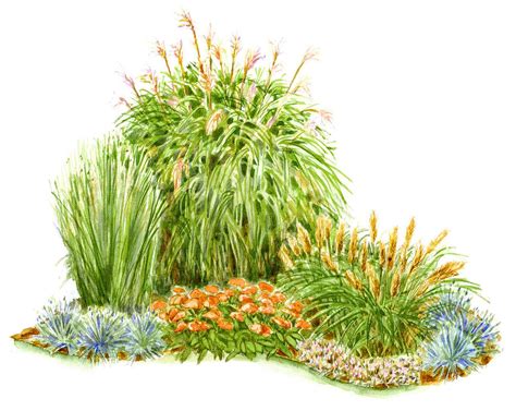 Corner of Grasses | Better Homes & Gardens