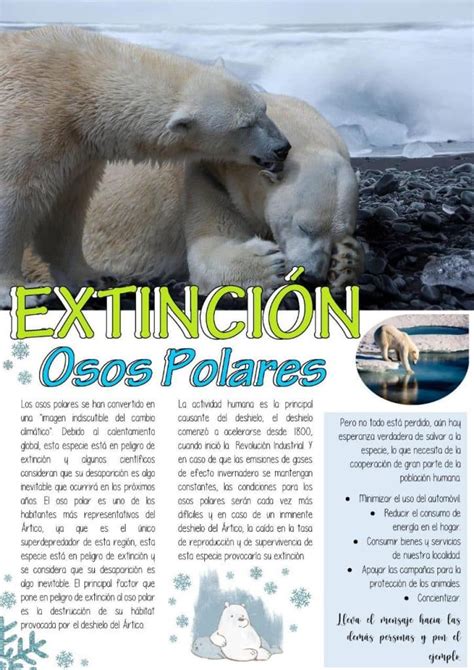 Declaración del Oso Polar en Peligro de Extinción: Causas y Soluciones ...