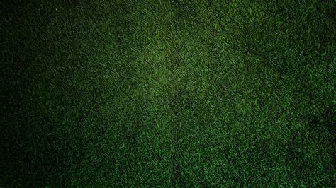 Free stock photo of dark green, grass, grass wall