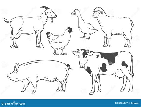 Farm Animals Drawing - Gezeichnete Disegnato Fattoria | Dekorisori