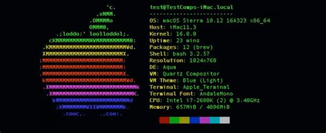 Neofetch Creates Colorful System Information Screens using Ascii Art | Ascii art, Ascii, System