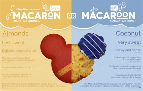 A Sweet Lesson: Macaroons vs. Macarons | Mickey News