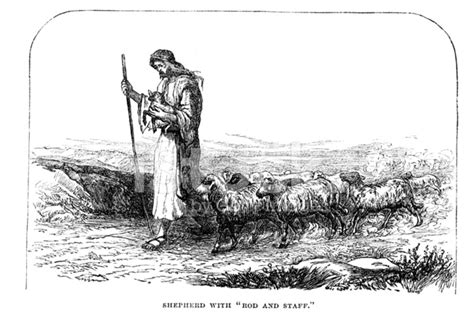 Shepherd With Sheep, Rod and Staff from 1880 Journal stock photos ...