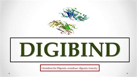 Digibind uses, antidote effects, mechanism, indications and ADR's ☠ ...