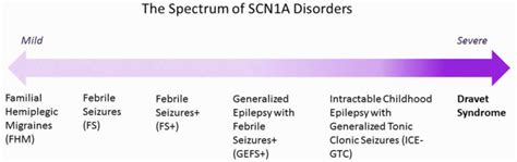 Dravet syndrome causes, symptoms, diagnosis, treatment & prognosis