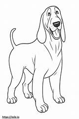 Basset Hound Cartoon coloring Page sketch template