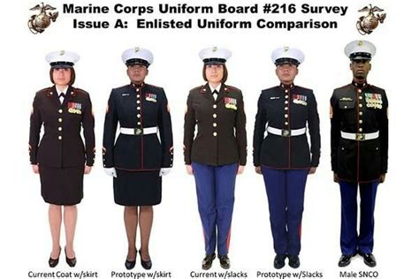 Pin by Samantha Dillon on Marines | Marines dress blues, Marine corps ...