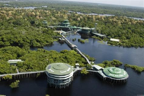 Unusual Hotels of the World | AmaZing Venues | Brazil rainforest, Unusual hotels, Manaus