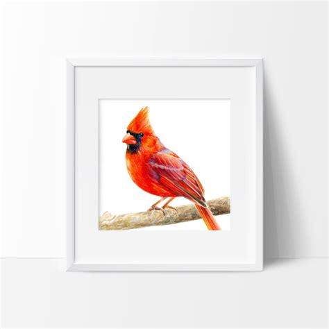 Cardinal Watercolor Print - Etsy