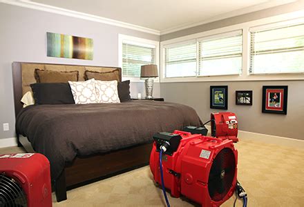 Bed Bug Heat Treatment - Peerless Restoration